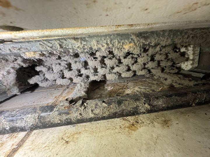 Thick lint buildup packed inside a dryer cabinet