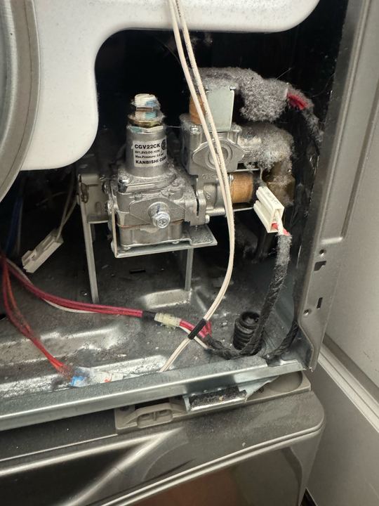 Gas dryer gas valve and solenoid coils with lint collected around them